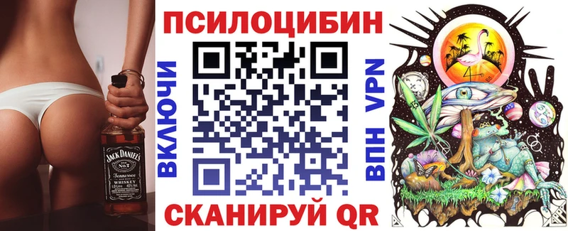 Купить где  Устюжна  Псилоцибиновые грибы ЛСД 